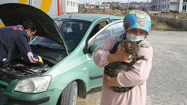 Konya'da girdiği otomobilin motor bölümünde mahsur kalan kediyi itfaiye ekipleri kurtardı