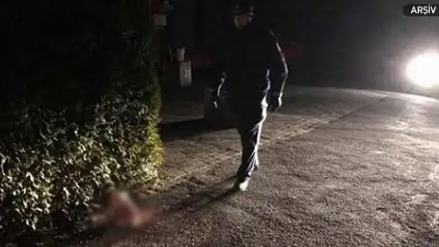 Fransa'da bir camiye domuz kafası bırakıldı