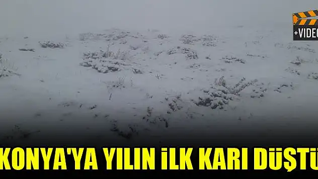 Konya'ya yılın ilk karı düştü
