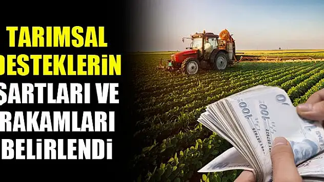 Tarımsal desteklerin şartları ve rakamları belirlendi