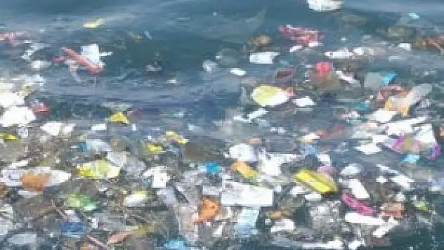 Akdeniz plastik atık çöplüğüne dönüşüyor