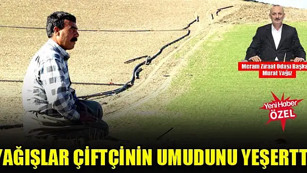 Yağışlar çiftçinin umudunu yeşertti