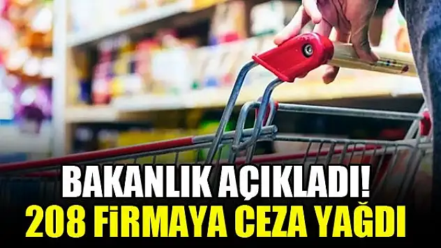 Bakanlık açıkladı! 208 firmaya ceza yağdı