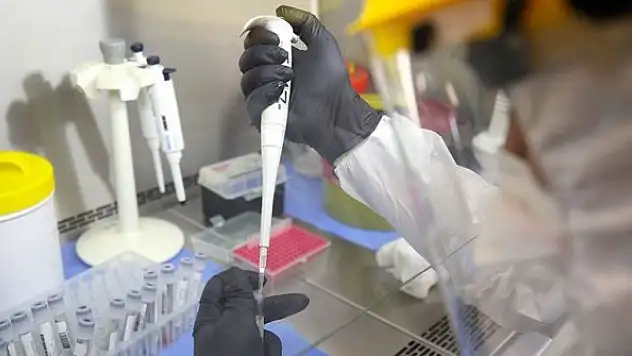 Kovid-19'un genetik kodunda 'gizlenmiş' bir gen keşfedildi