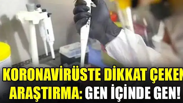 Koronavirüste dikkat çeken araştırma: Gen içinde gen!