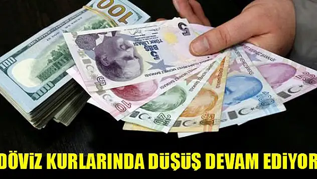 Döviz kurlarında düşüş devam ediyor