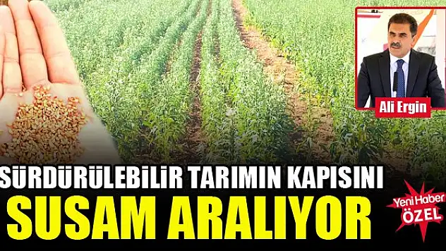 Sürdürülebilir tarımın kapısını susam aralıyor