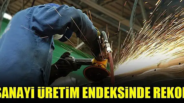 Sanayi üretim endeksinde rekor