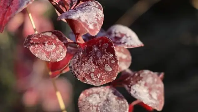 Doğu Anadolu'da gece sıcaklığı sıfırın altına düştü