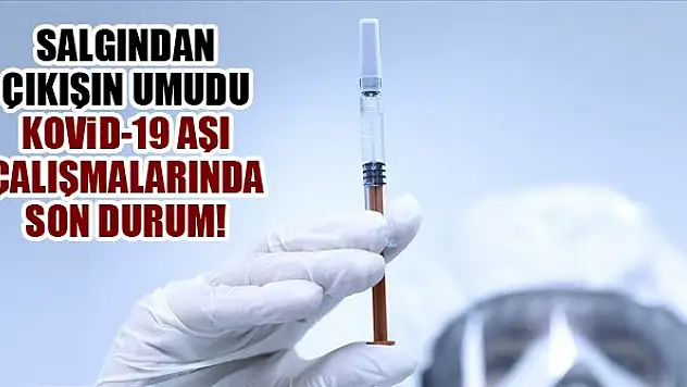 Salgından çıkışın umudu Kovid-19 aşı çalışmalarında ilk sonuçlar alındı