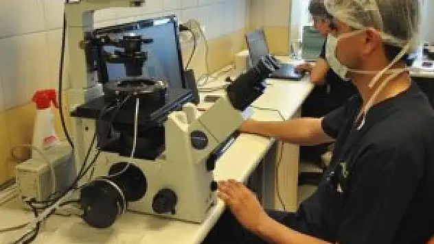 Kalp hastaları için kök hücre umudu