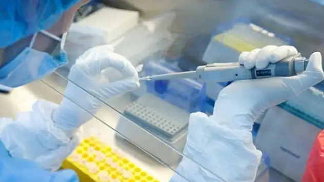 Novavax'ın aşısı, maymunlarda virüsün yayılmasını engelledi