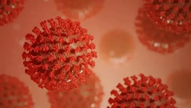 Salgınla mücadelede zorlu düşman 'sitokin fırtınası'