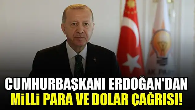 Cumhurbaşkanı Erdoğan'dan milli para ve dolar çağrısı!