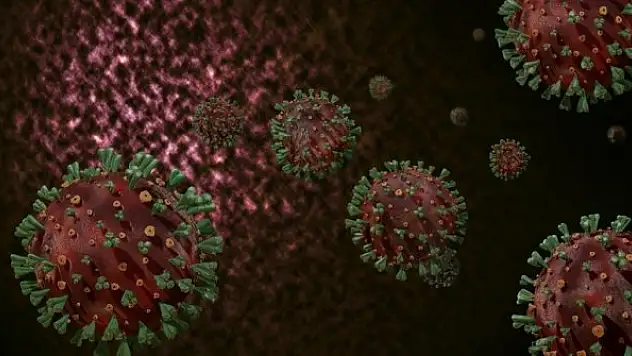 Kovid-19'un daha bulaşıcı olmasına yol açan bir mutasyona dair kanıt yok