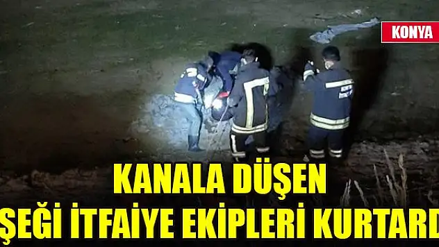 Kanala düşen eşeği itfaiye ekipleri kurtardı