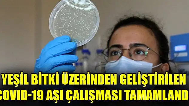 Yeşil bitki üzerinden geliştirilen COVID-19 aşı çalışması tamamlandı