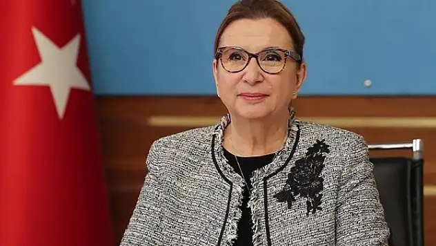 Ticaret Bakanı Pekcan: Yıl sonunda YEP hedefine ulaşacağımıza inanıyoruz