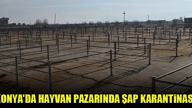 Konya'da hayvan pazarında 'şap' karantinası
