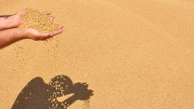 Bakliyat ve hububat ihracatındaki hedef 7,5 milyar dolar