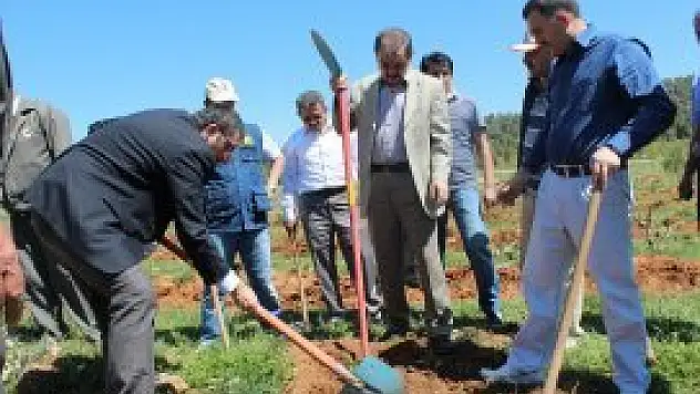 AK Parti'den 'AK Fidan Ağaç Dikme Şenliği'