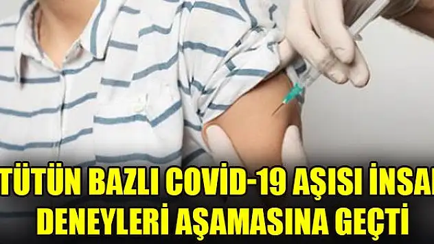 Tütün bazlı Covid-19 aşısı insan deneyleri aşamasına geçti