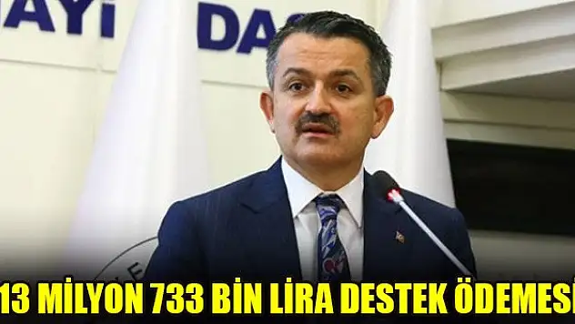 Bakan Pakdemirli duyurdu: 13 milyon 733 bin lira destek ödemesi!