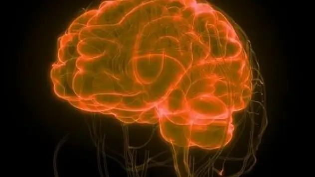 Koronavirüs beyin bariyerini aştı