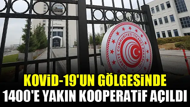 Bu yıl desteklerle Kovid-19'un gölgesinde 1400'e yakın kooperatif açıldı