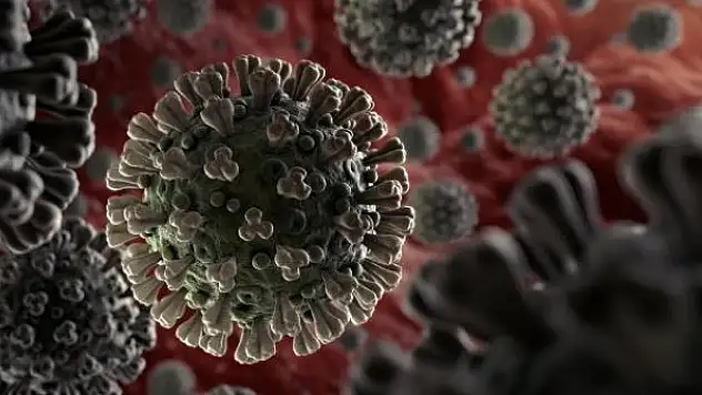 DSÖ'den 'mutasyon' açıklaması: Hastalık veya ölüm kanıtı yok