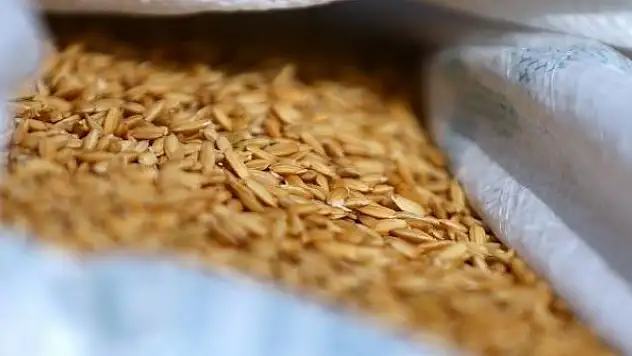 Çeltik ve pirinçte gümrük vergisi düşürüldü