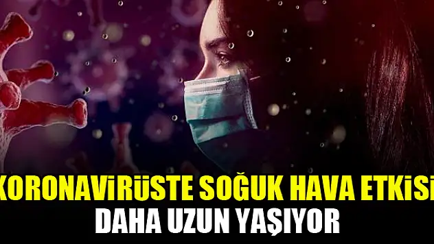 Koronavirüste soğuk hava etkisi: Daha uzun yaşıyor