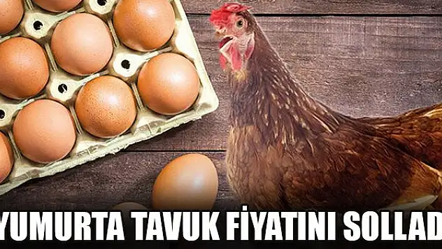Yumurta tavuk fiyatını solladı