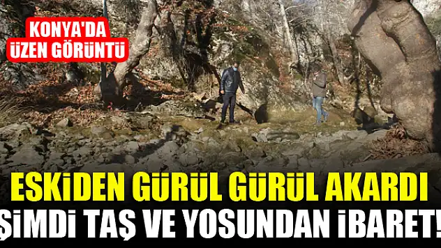 Konya'da üzen görüntü...Eskiden gürül gürül akardı, şimdi taş ve yosundan ibaret