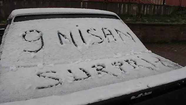 Beyşehir'de lapa lapa kar yağışı