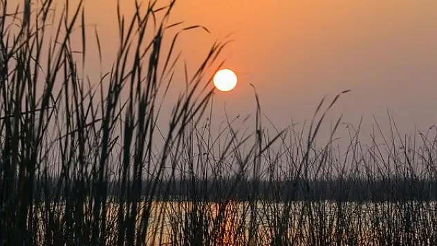 Mezopotamya'nın saklı güzelliği: Bataklıklar