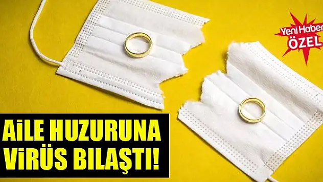 Boşanma virüsü hızla yükseliyor