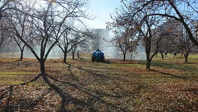 'Kayısının başkenti'nde yeni sezon hazırlıkları başladı
