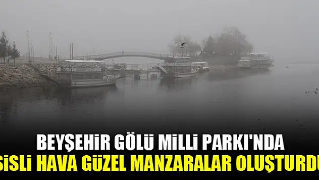Beyşehir Gölü Milli Parkı'nda sisli hava güzel manzaralar oluşturdu