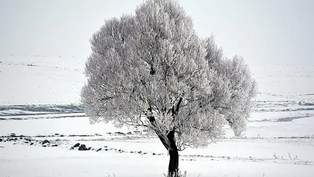 Doğu Anadolu'da gece en düşük sıcaklık Ağrı'da ölçüldü