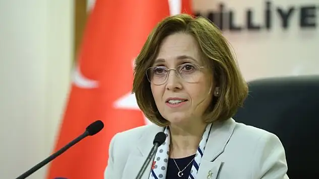 MHP kadına şiddetle mücadele için hazırladığı teklifin TBMM'de kabul edilmesini bekliyor