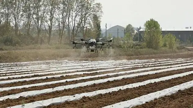 İHA'lar zirai ilaçlamada kullanılabilecek
