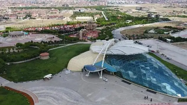 Canlı kelebek pupası satın alınacak
