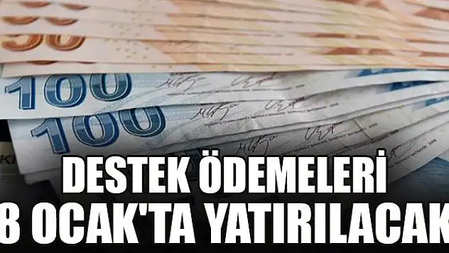 Destek ödemeleri 8 Ocak'ta yatırılacak
