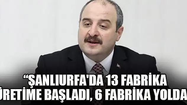 Bakan Varank: Şanlıurfa'da 13 fabrika üretime başladı, 6 fabrika yolda