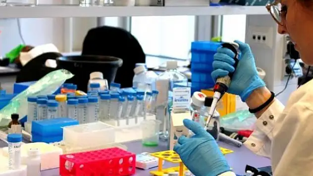 İtalya'nın geliştirdiği aşıda ilk faz çalışmaları tamamlandı