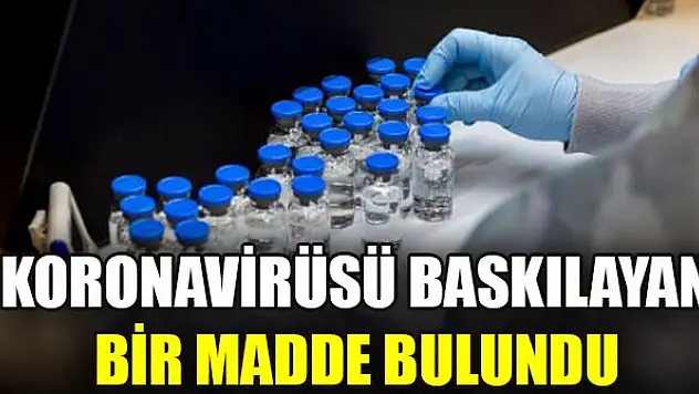 Koronavirüsü baskılayan bir madde bulundu