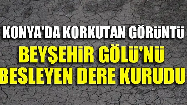 Konya'da korkutan görüntü...Beyşehir Gölü'nü besleyen dere kurudu