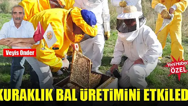Kuraklık bal üretimini etkiledi
