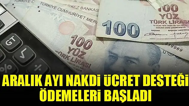 Aralık ayı nakdi ücret desteği ödemeleri başladı